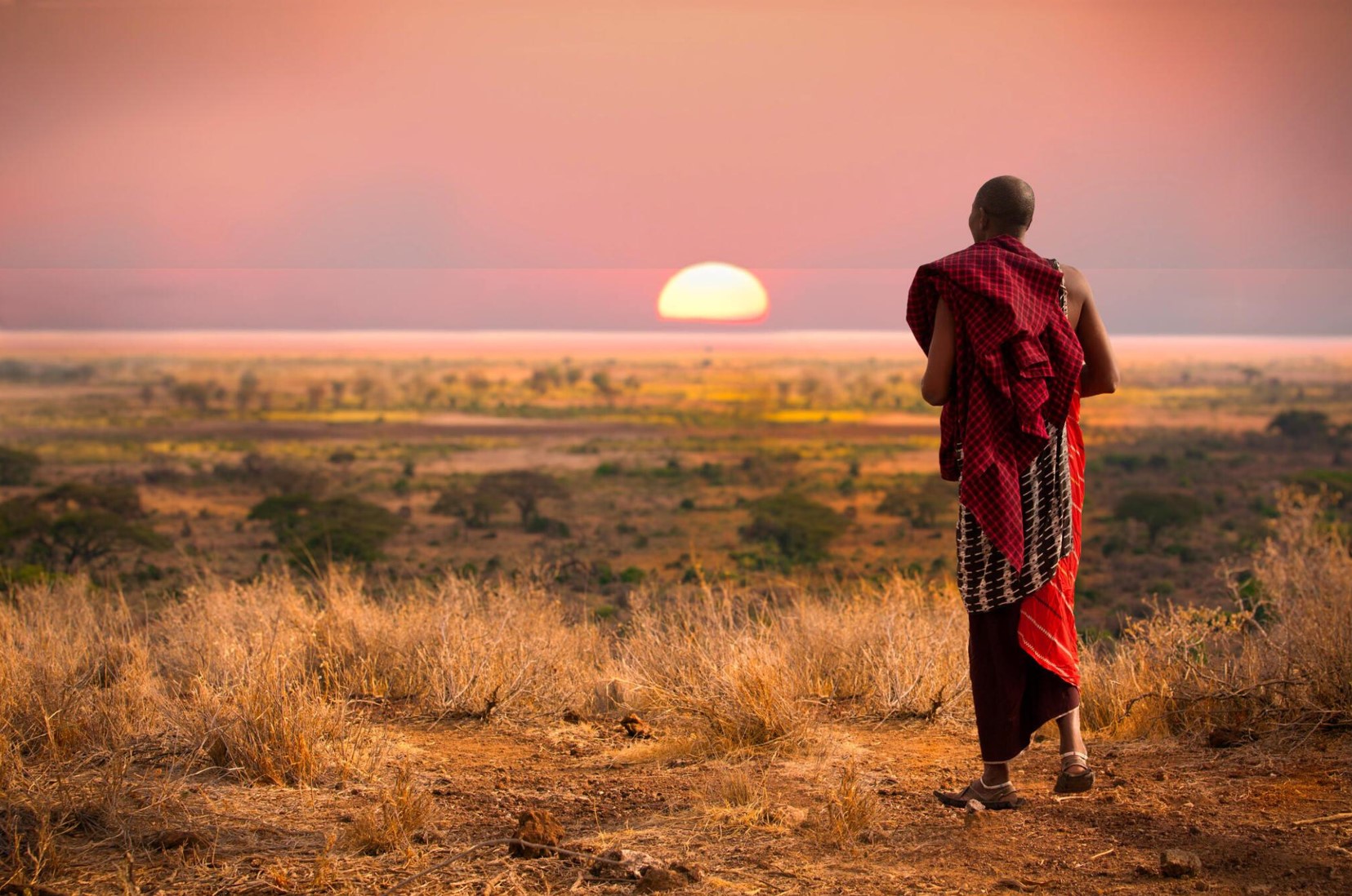 Cultural and Day Tours