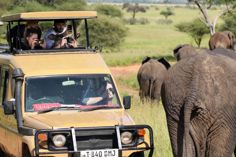 Luxury Safari