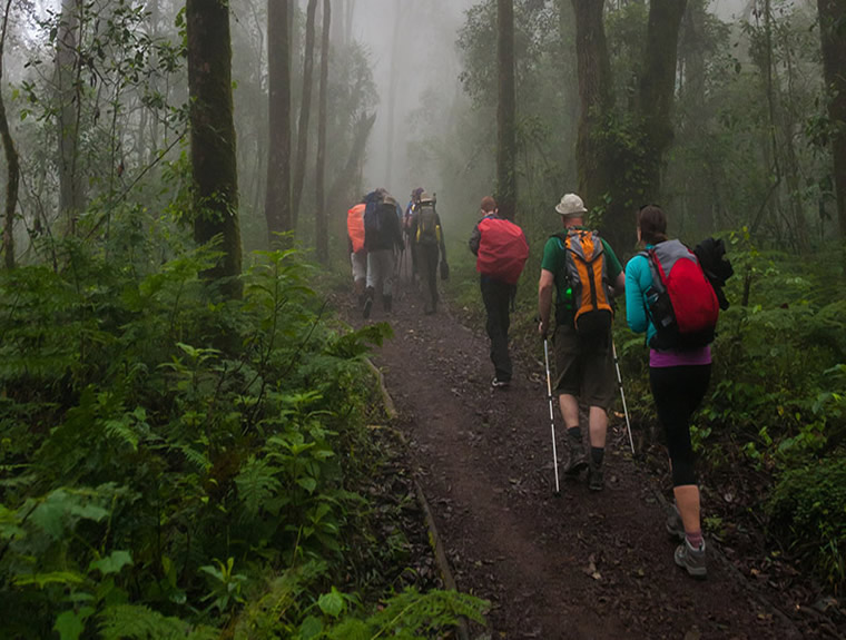machame route